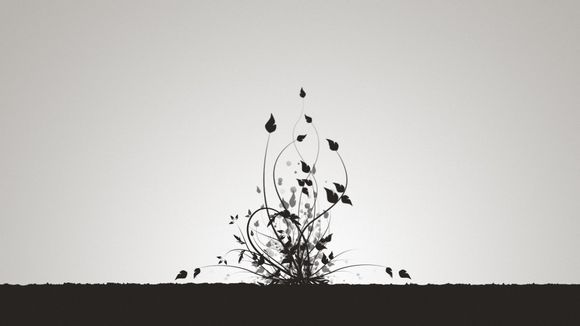 win如何隐藏任务栏
