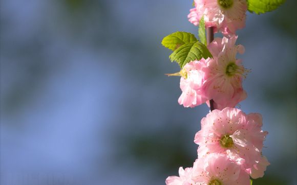 3.14是什么书